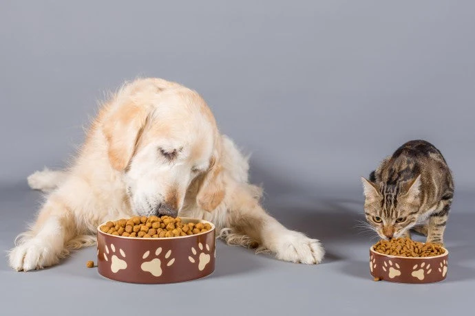 Pet Food in India