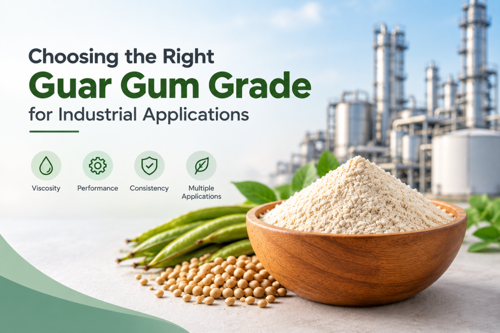 Guar Gum Stabilizer in india